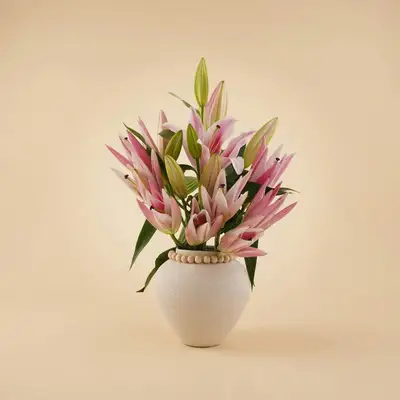 Elegant Pink Lily in Premium Ceramic Vase - Arrangement