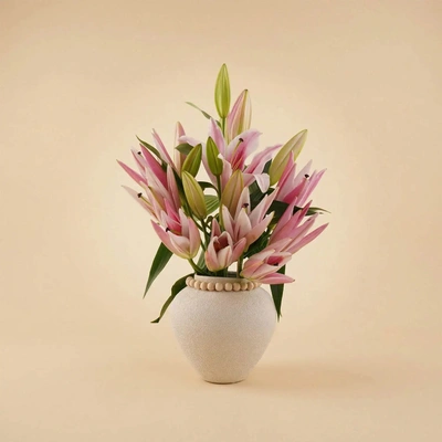Elegant Pink Lily in Premium Ceramic Vase - Arrangement
