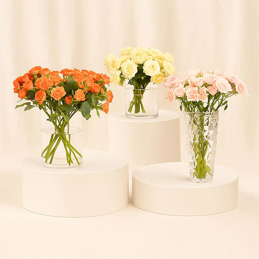Trio of Rose Beauty