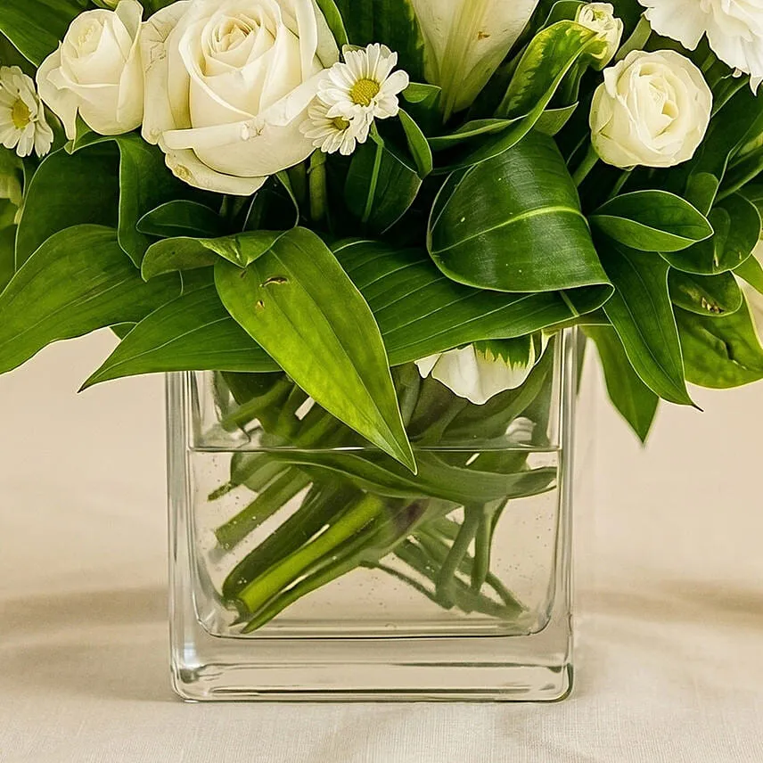 White Beauty