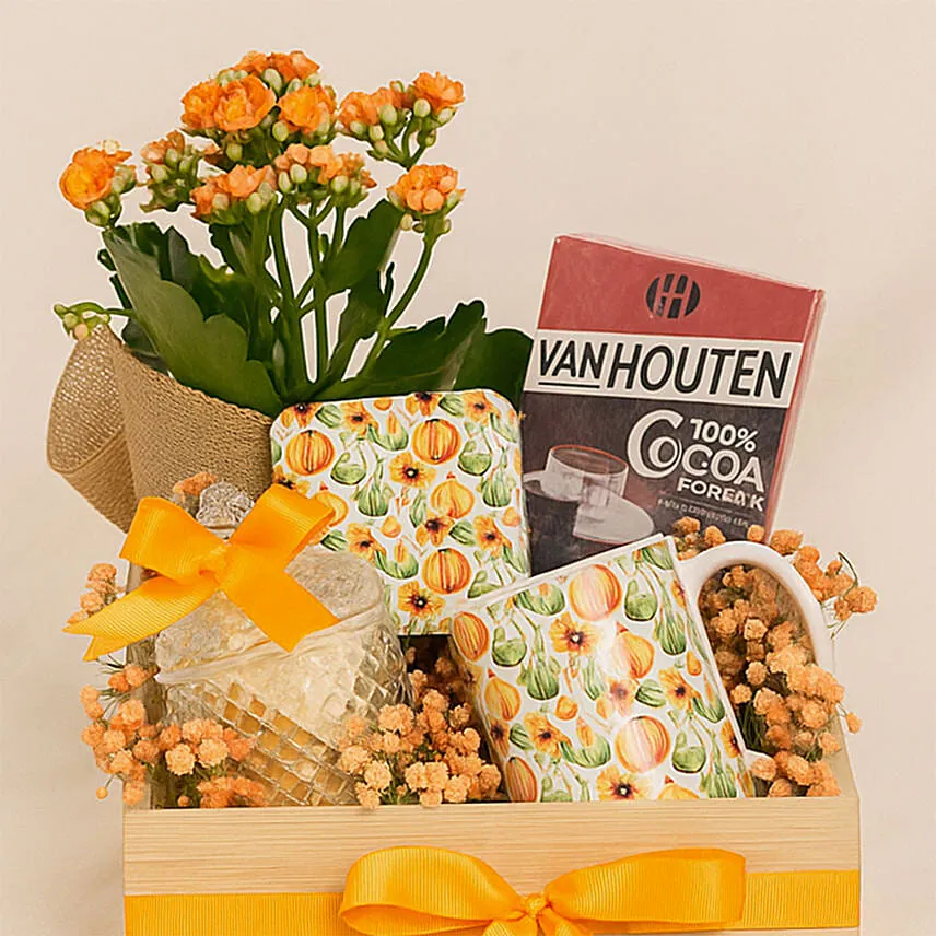 Thanksgiving Hamper