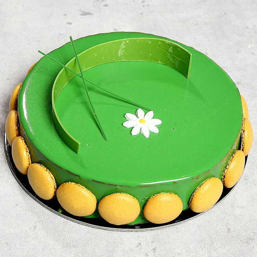 Choco Pistachio