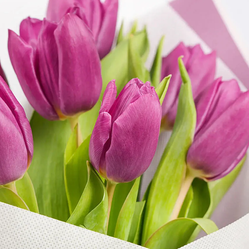 7 Purple Tulips Bouquet
