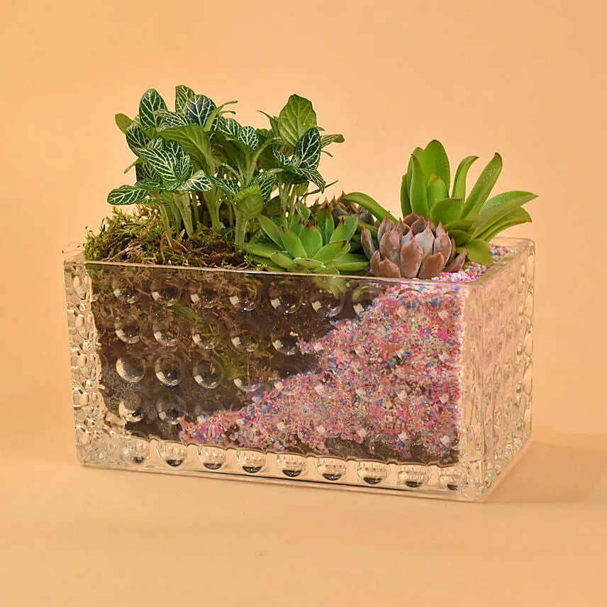 Gorgeous Succulents Terrarium