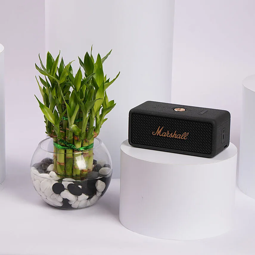 Marshall Speaker with Lucky Bamboo Gift Set