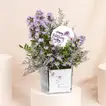 مزهرية ورد أستر خلابة