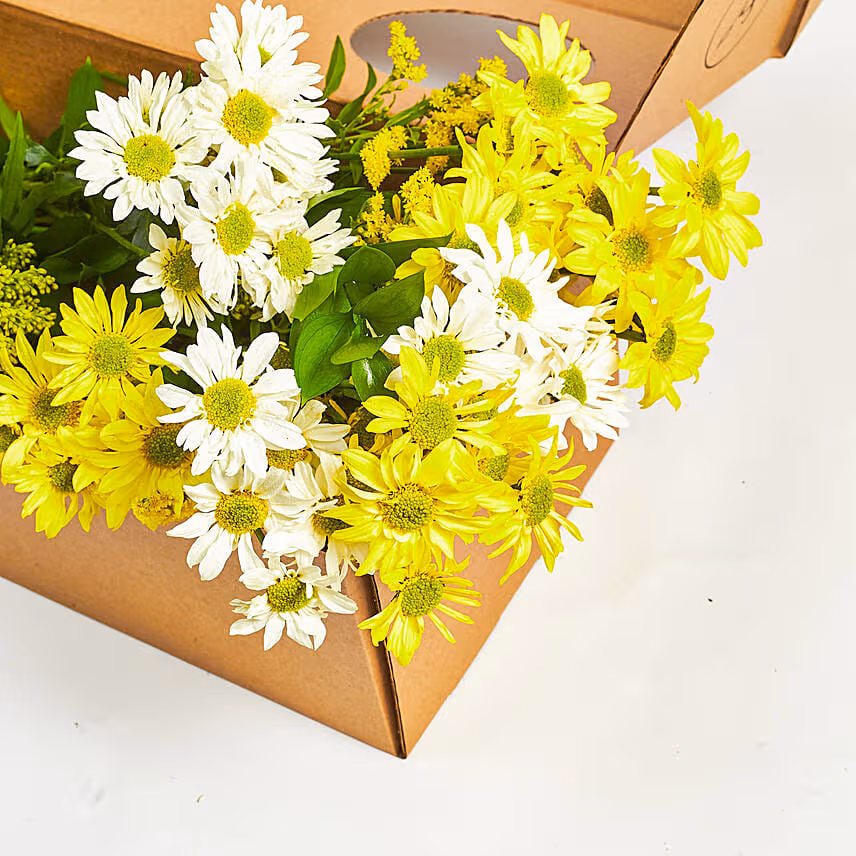 Blooming Mixed Chrysanthemums Box