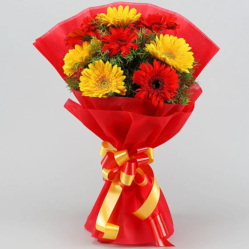 Glorious Red Yellow Gerbera Blossoms