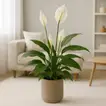 Elegant Peace Lily in Handcrafted Textured Cement Pot