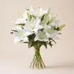 Elegant Bouquet of 10 White Lily Loose Stems