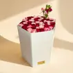 Exquisite Opera Rose Royale Gift Box