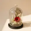 Eternal Elegance: Red Preserved Rose & Musk Perfume Unisex