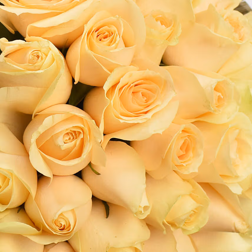 35 Peach Roses Bouquet