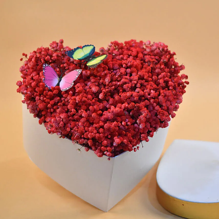 Red Baby Breath Heart Shaped Box
