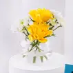 Bostani Get Well Soon Chocolates N Flowers