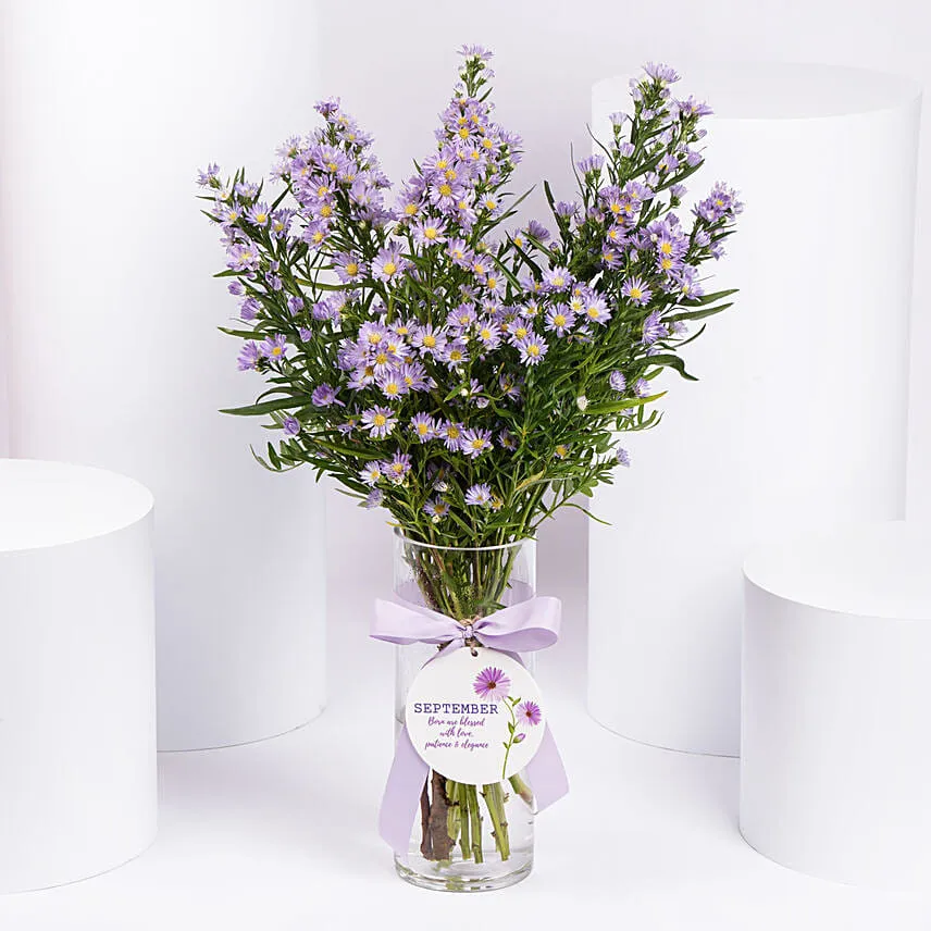 September Birthday Wishes Aster Flowers in Vase