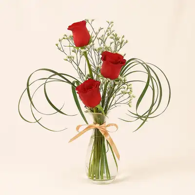 Sweet Roses