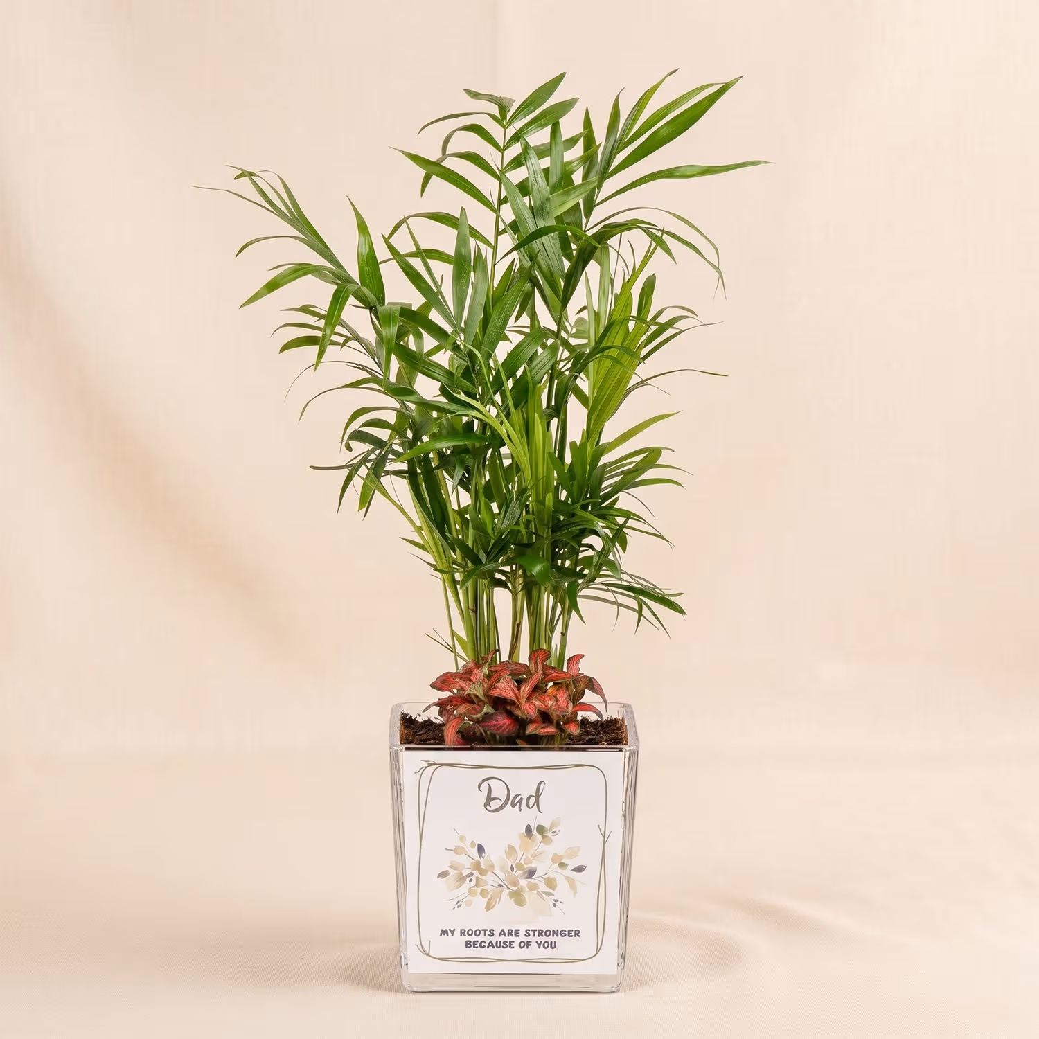 Chamidoria Gift for Dad
