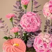 Blossoms of Pink Serenity