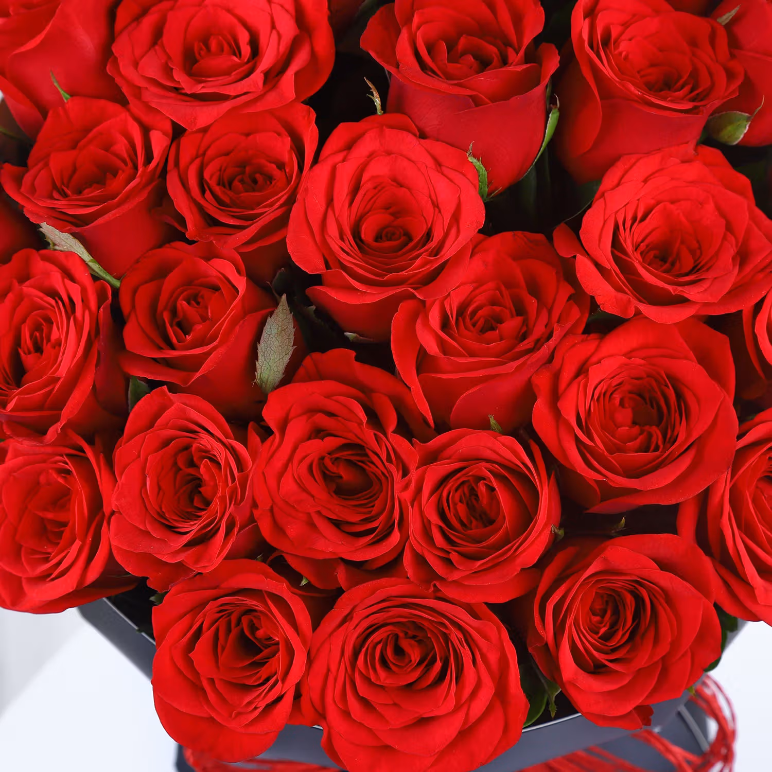 Valentine's Velvet Whispers: Exquisite Rose Bouquet