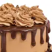 Decadent Chocolate Mono Cake 250gm - Perfect for Two