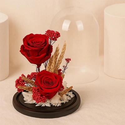 Dried Flowers | Red Forever Roses