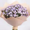 Elegant Blue Aster Flower Bouquet - Perfect for Any Occasion