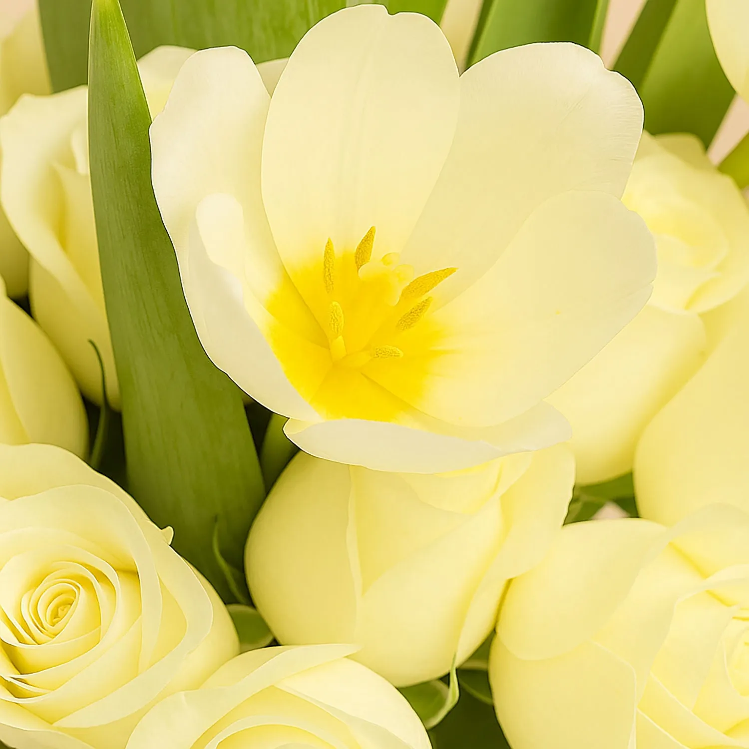 Graduation Elegant Roses & Tulips Vase 