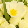 Graduation Elegant Roses & Tulips Vase 