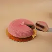 Radiant Woman Delight Cake - Chocolate