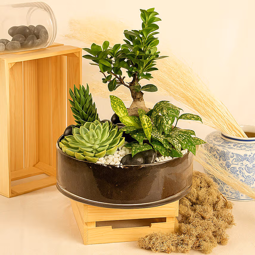 Magnificent Nature Dish Garden