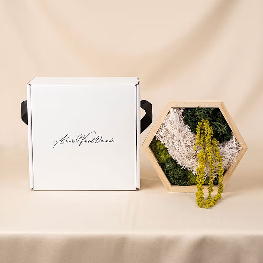 Hexagon Wooden Preserved Moss Wall Art Frame