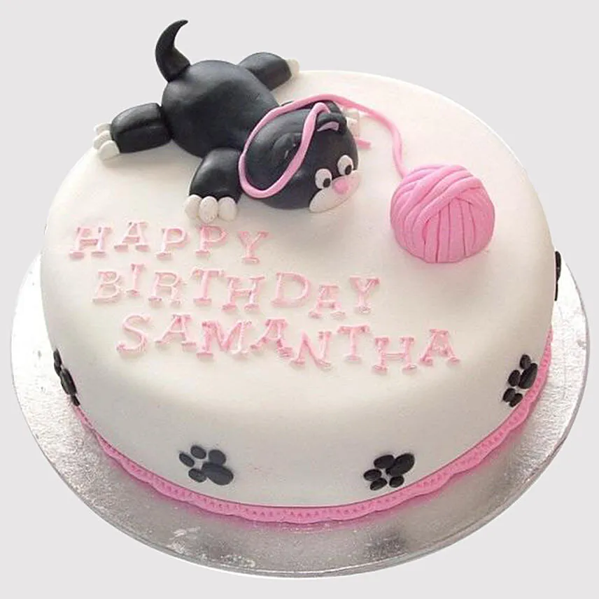 Cat and Wool Designer Cake