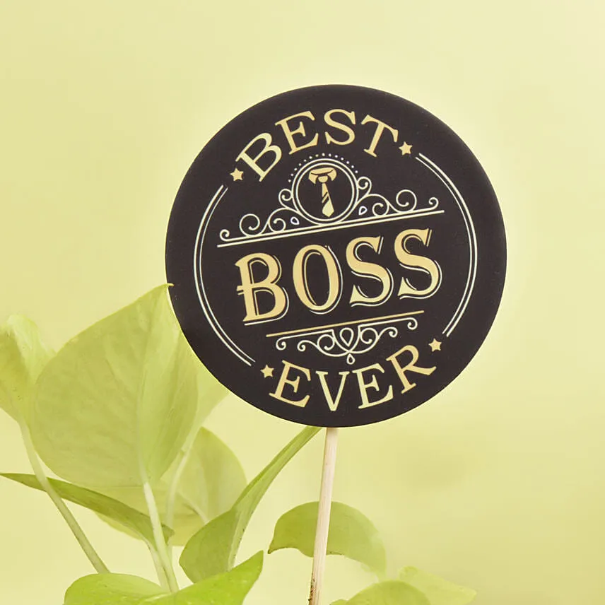 Golden Pothos Plant With Best Boss Tag
