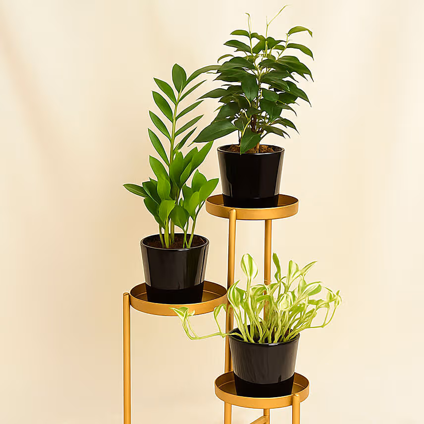 Welcome Good Luck To Home Plant Stand