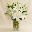 Serene Arranagement Of White Lilies