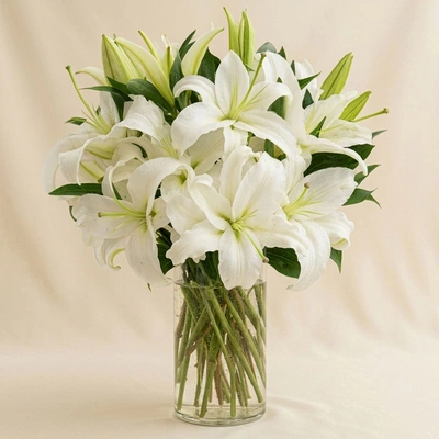 Serene Arranagement Of White Lilies