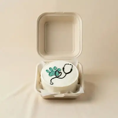 Celebratory Doctor Graduation Bento Cake - Chocolate Delight