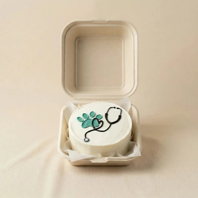 Celebratory Doctor Graduation Bento Cake - Chocolate Delight
