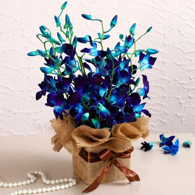 Gorgeous Orchids Arrangement