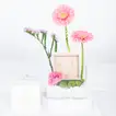 Elegant Pink Floral Gift Box with Silver Bracelet and Cubic Zirconia