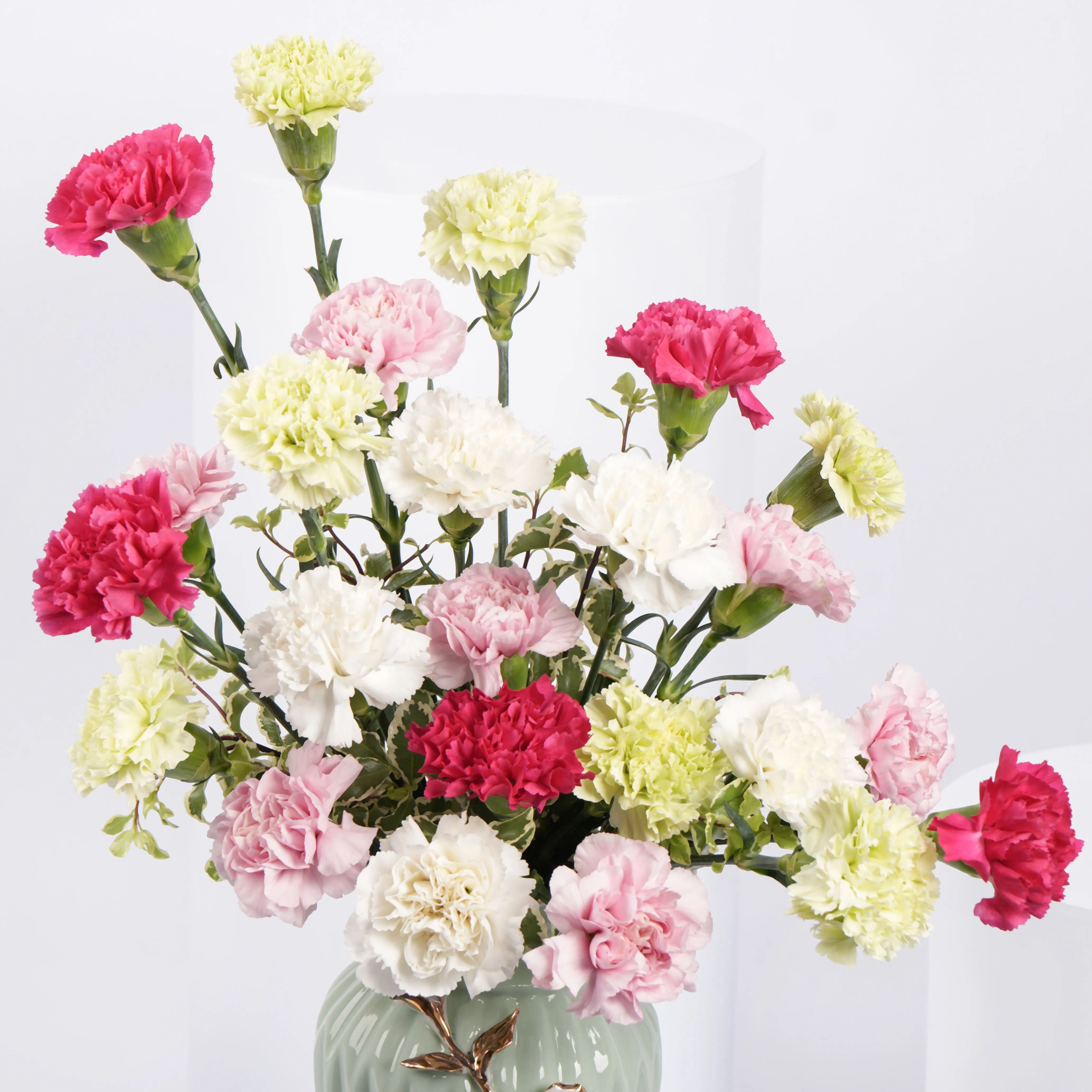 Elegant Carnation Bouquet in a Luxurious Designer Vase