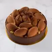 Tiramisu Cake