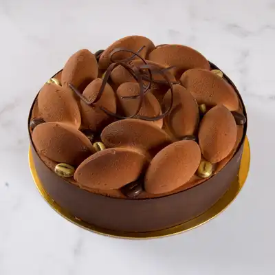 Tiramisu Cake