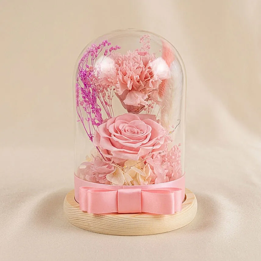 Vday Pink Forever Roses in Dome
