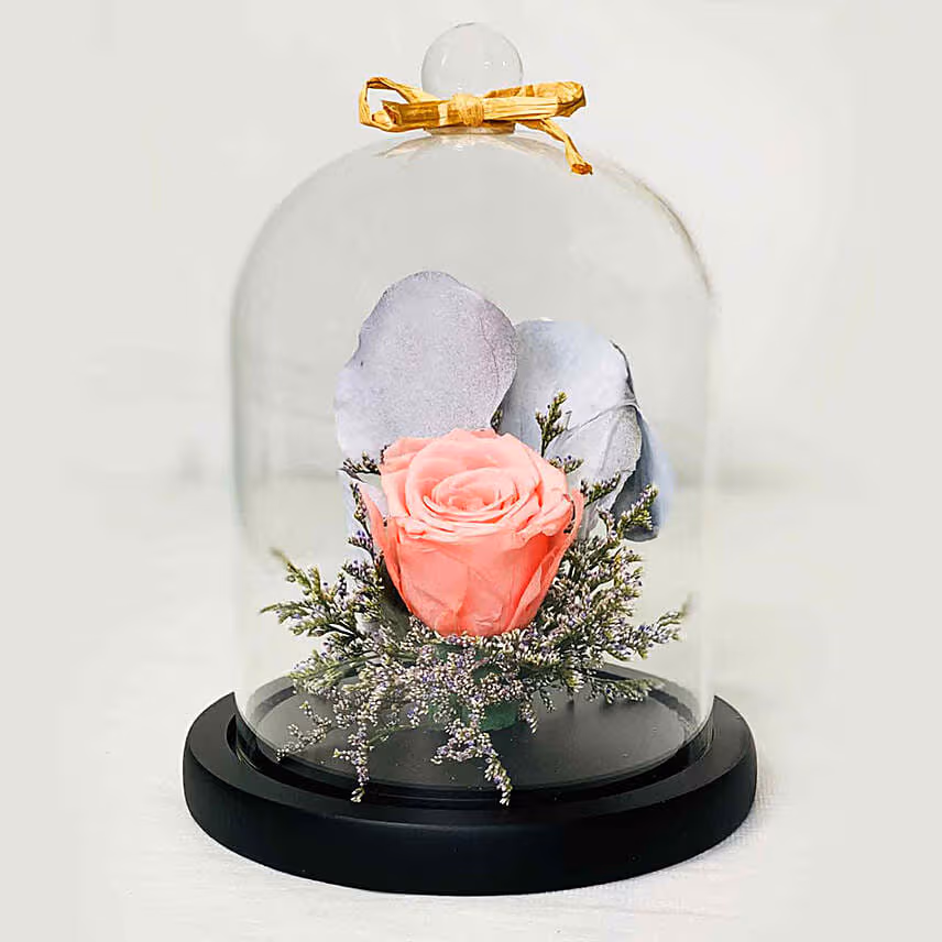 Forever Rose In Glass Dome Pink with Fruit Cake