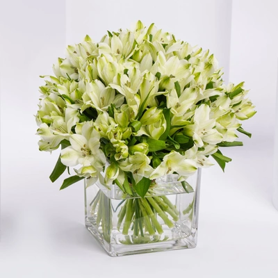 Elegant White Alstromeria Flower Arrangement in Glass Vase
