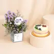 مزهرية ورد أستر خلابة