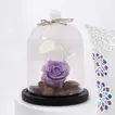 Forever Rose With Cushion n Mug For Mother