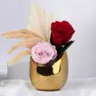 Golden Charm Preserved Rose Duo in Elegant Vase